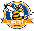 Hanau Hornets